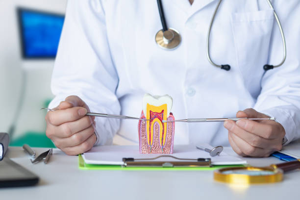 Best Emergency Root Canal Treatment in Harbor Beach, MI